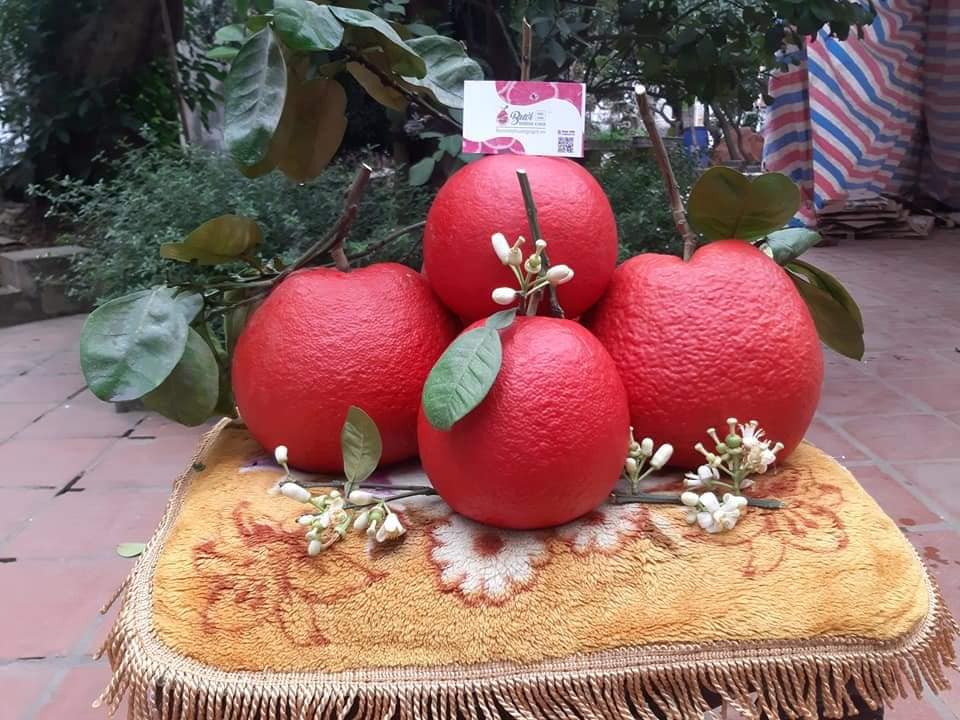 480319853_9284188565027964_4880329862589525994_n