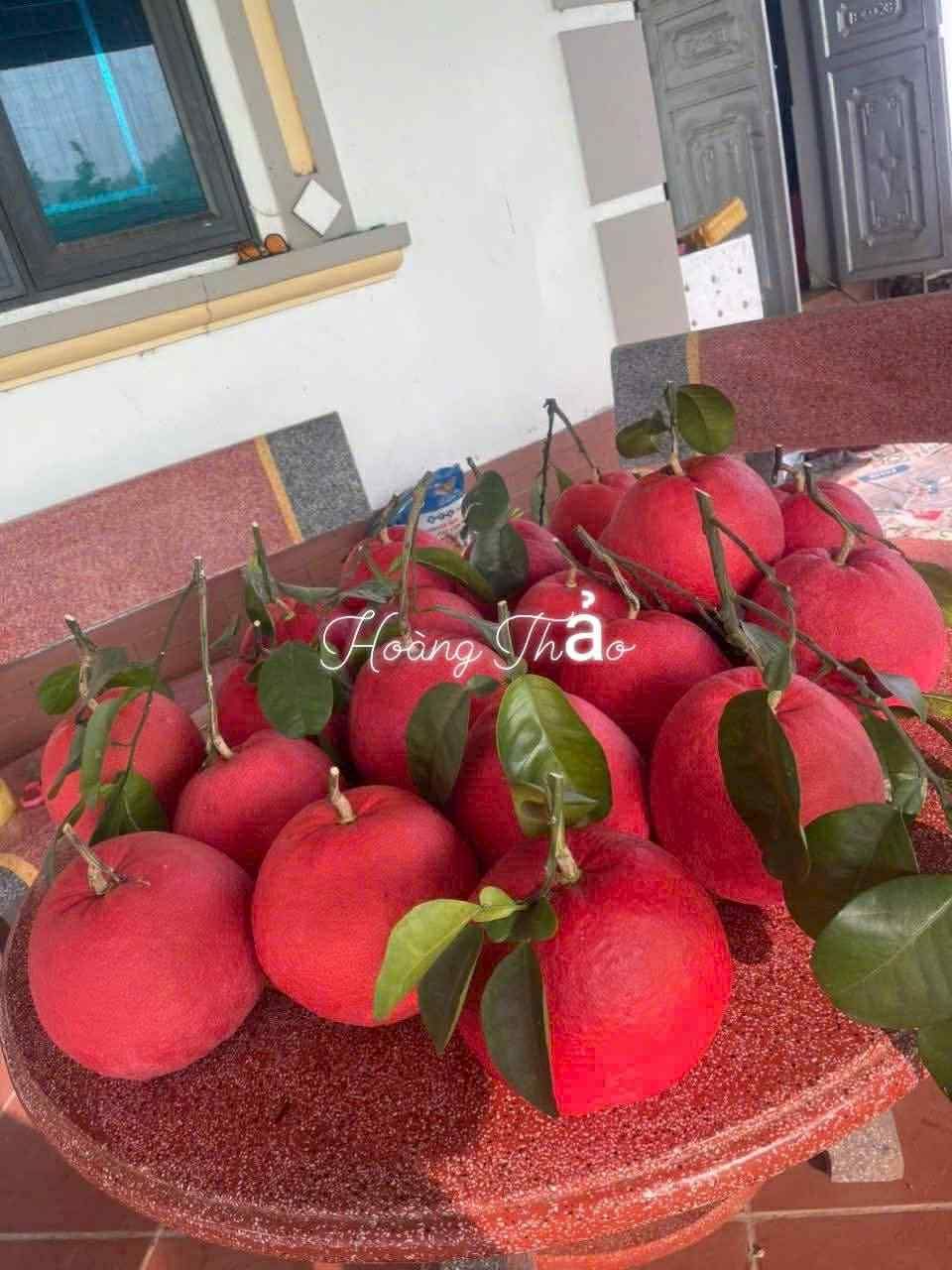 571211545_122126720558977639_2092199611388676387_n