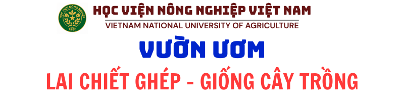 Trung Tâm Giống Cây Trồng Nông Nghiệp